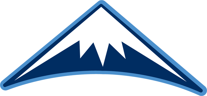 Denver Nuggets 2008-2018 Alternate Logo fabric transfer